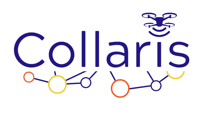 Ankieta projektu Collaris